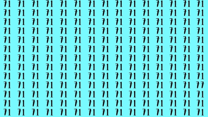 defi visuel trouver 77 parmi les 71