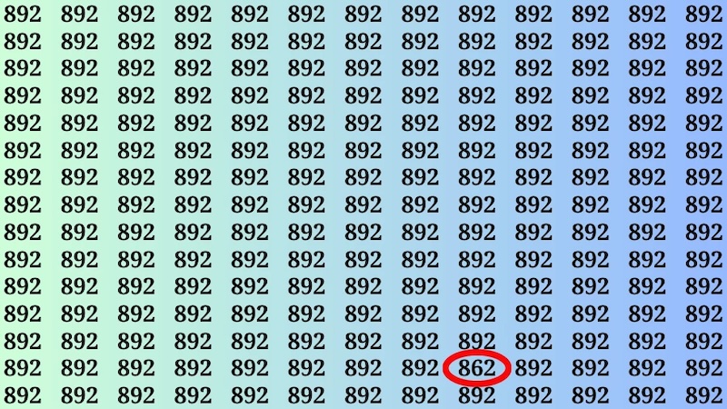 numero 862 trouve resultat au test de rapidite