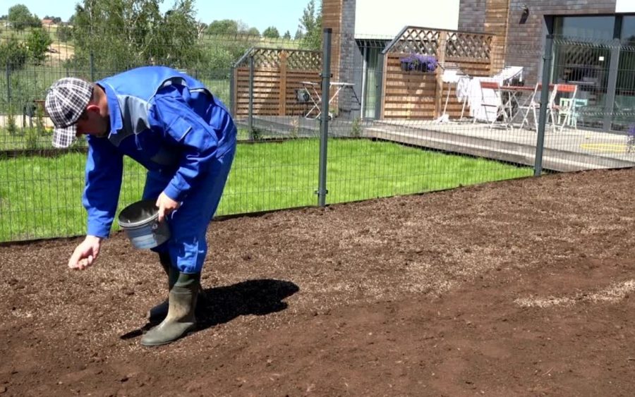 semer grain gazon sans recouvrir