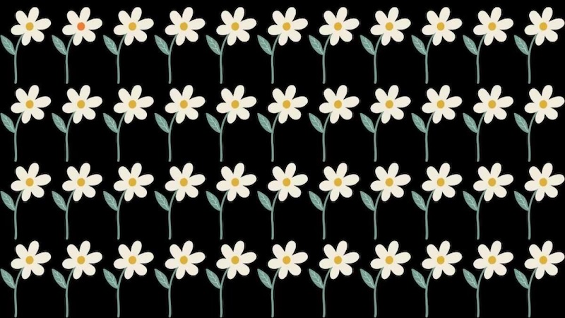 test observation trouve la fleure differente