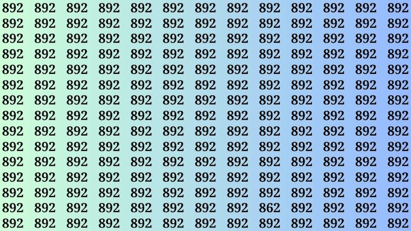 test rapidite trouver le numero 862 parmi les 892