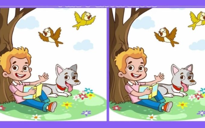 defi visuel jeu des diffrences