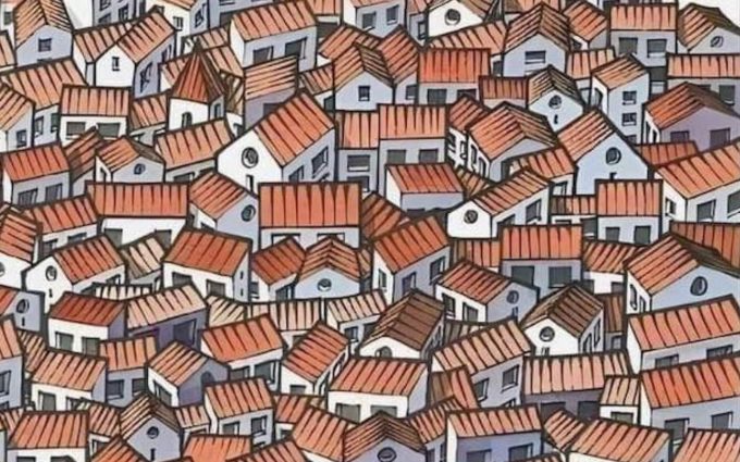 test dobservation trouver le chat