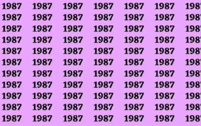 defi visuel trouver 1978 parmi les 1987