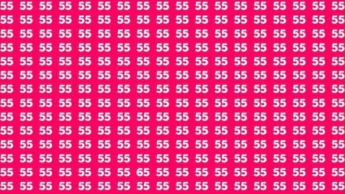 defi visuel trouver le 65