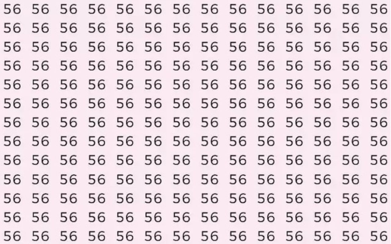 defi visuel trouver le numero 36