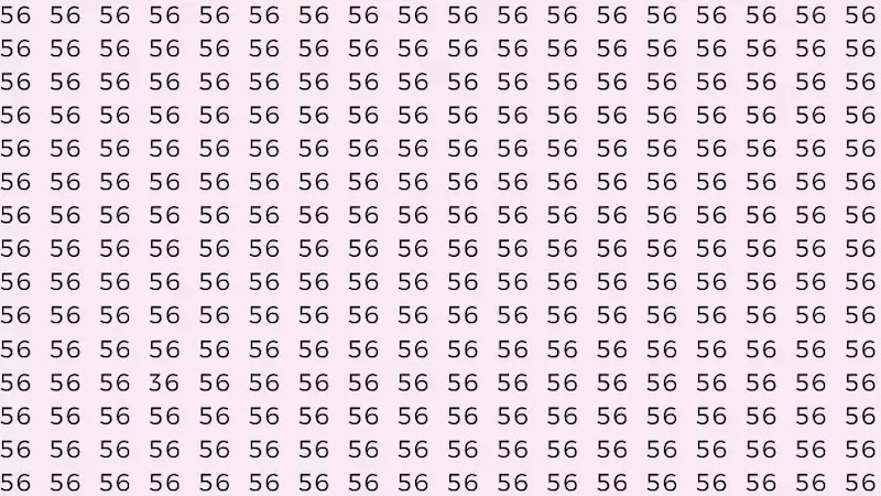 defi visuel trouver le numero 36