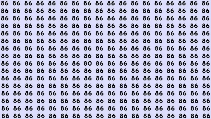 defi visuel trouver numero 80