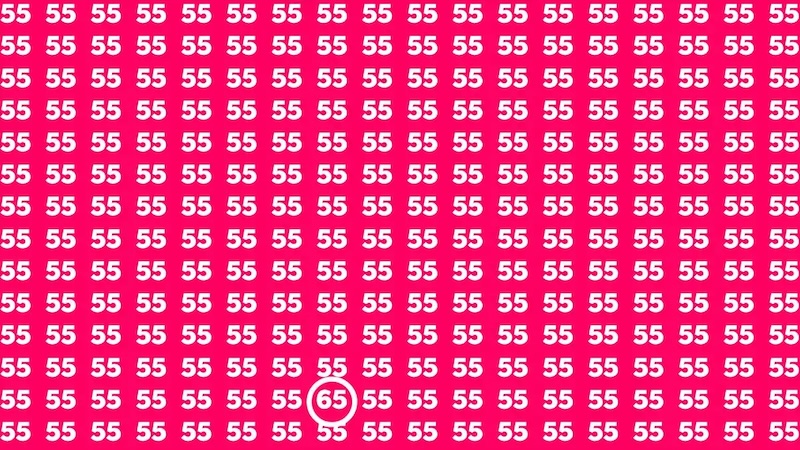 resultat defi visuel 65 trouve