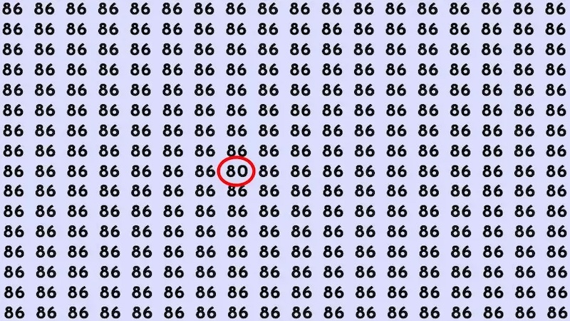 resultat trouver numero 80