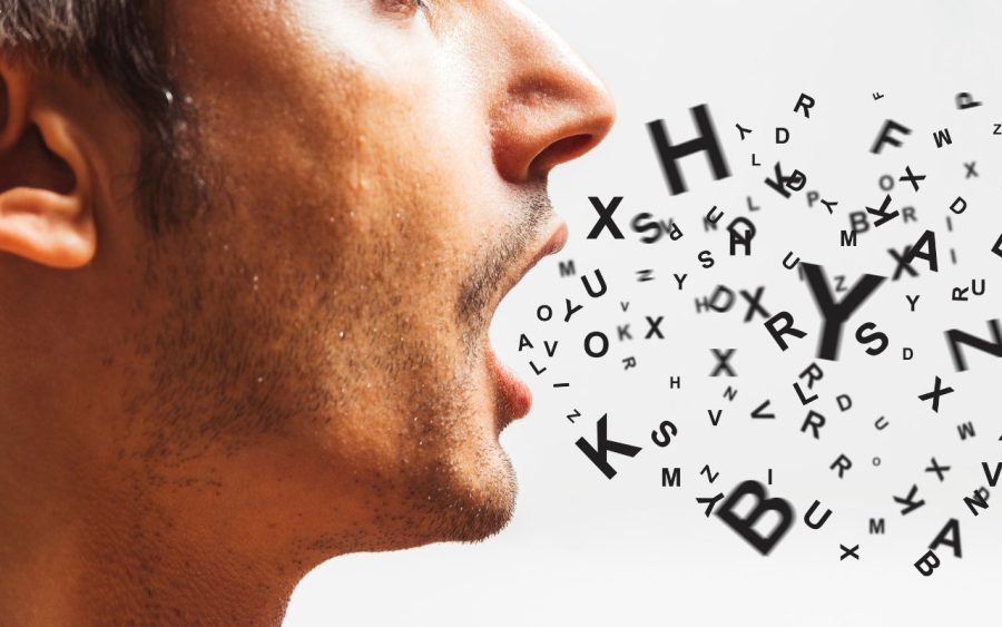 les mots les plus longs